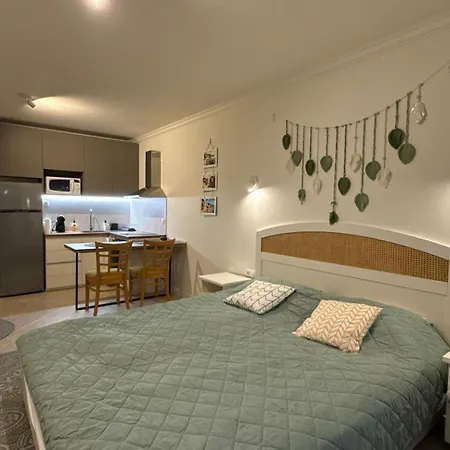 Appartement Sm Lovely On The First Line In *